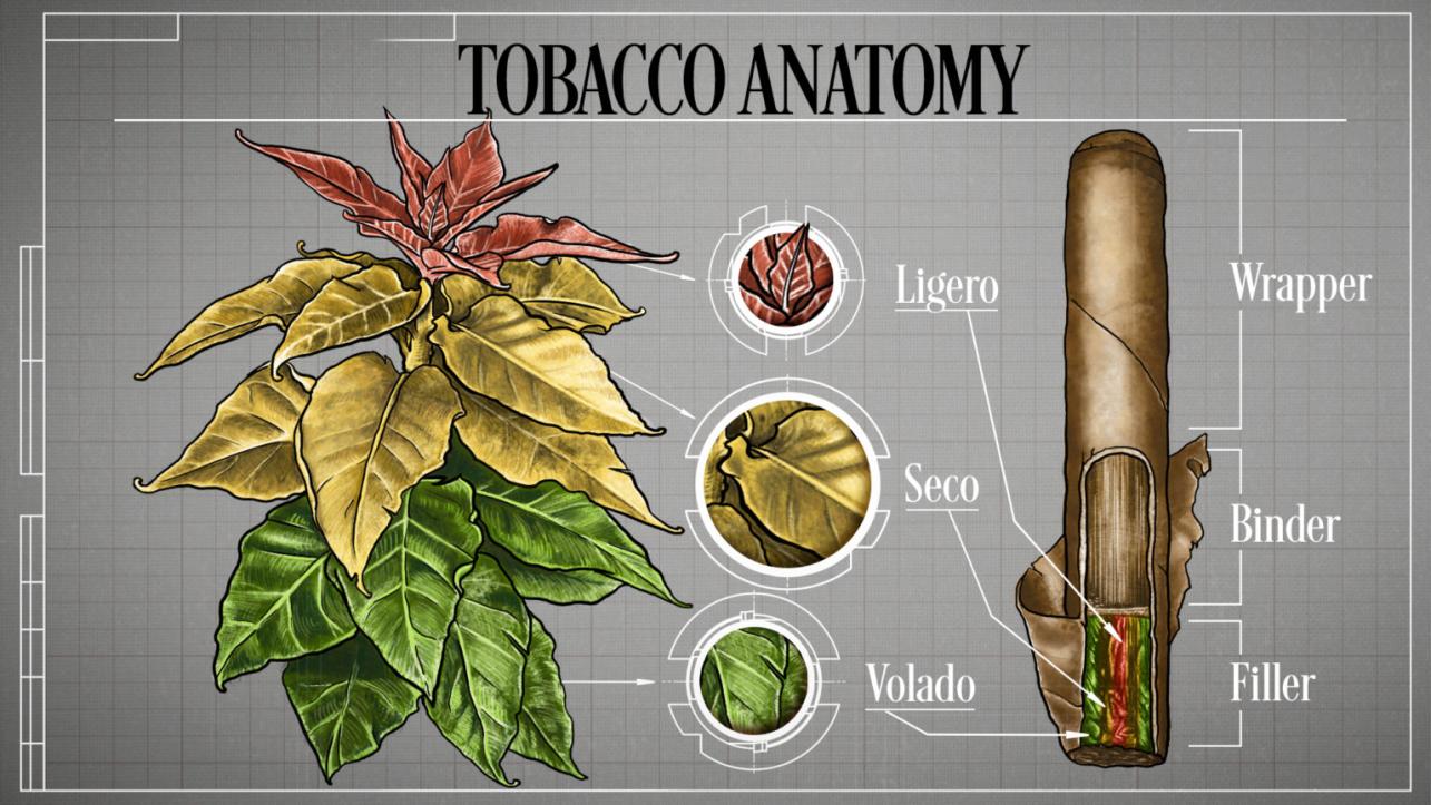 Wie lange dauert es, eine Sammelklage gegen Tabakfirmen zu klären?